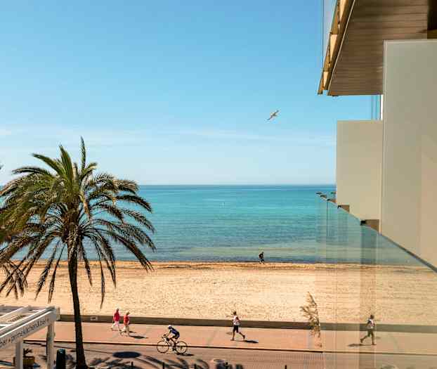 Näkymä rakennuksesta rannalle, jossa palmuja, kävelytie ja pyöräilijöitä sekä taustalla meri. (Tekoälyn luoma teksti)