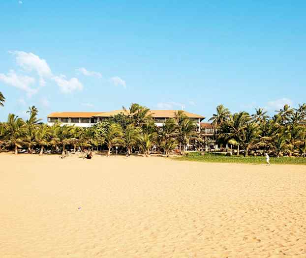 Ranta, jolla on kullankeltaista hiekkaa, palmuja ja taustalla rakennus kirkkaan sinisen taivaan alla. (Tekoälyn luoma teksti)