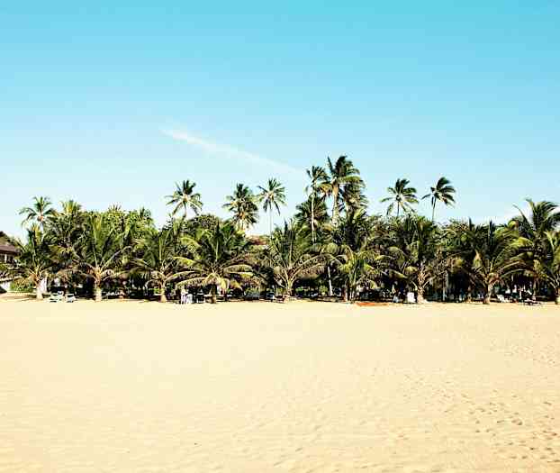 Ranta, jossa on kultainen hiekka, paljon palmuja ja rakennuksia taustalla. Aurinkotuoleja on asetettu rannalle. (Tekoälyn luoma teksti)