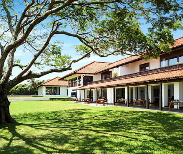 Valkoinen rakennus, jossa on punaiset katot, ympäröitynä vehreydellä, suuri puu etualalla. (Tekoälyn luoma teksti)