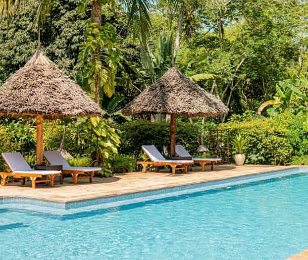 Aurinkotuolit ja aurinkovarjot uima-altaan äärellä trooppisten kasvien keskellä. (Tekoälyn luoma teksti)
