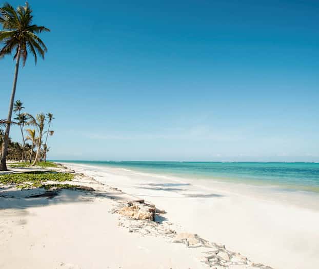 Ranta, jossa valkoista hiekkaa, palmuja ja turkoosi vesi. (Tekoälyn luoma teksti)