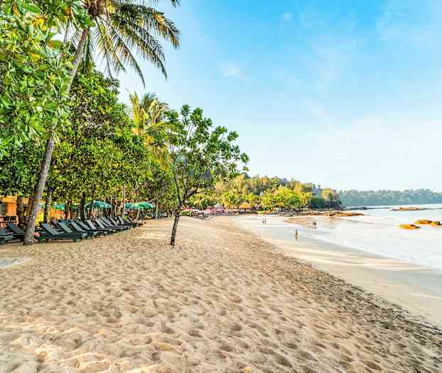 Hiekkaranta aurinkotuoleineen, jotka ovat vihreiden puiden ja palmujen varjossa. Taustalla meri ja metsä. (Tekoälyn luoma teksti)