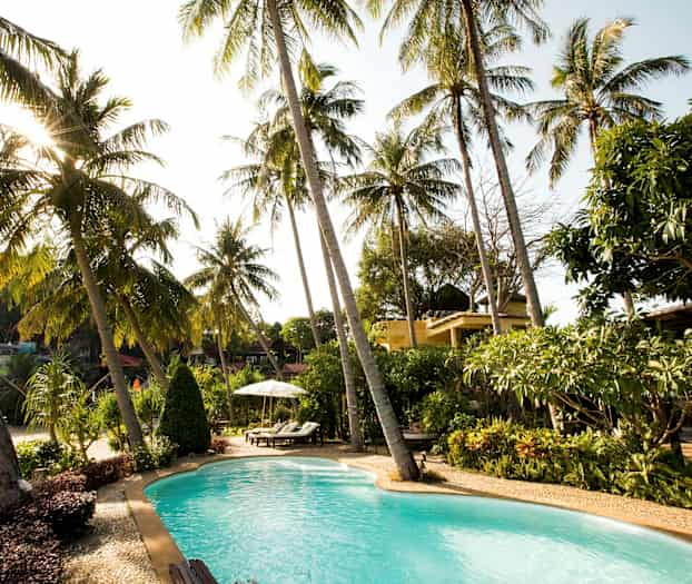 Ulkouima-allas, jota ympäröivät palmut ja vehreä puutarha. (Tekoälyn luoma teksti)