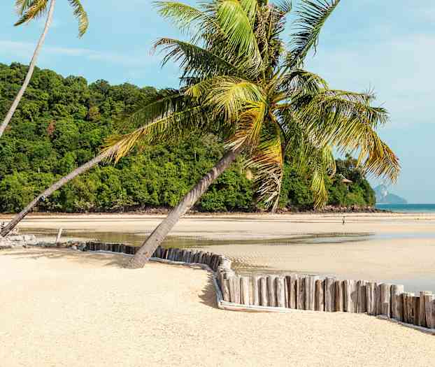 Hiekkaranta, jolla on palmuja, taustalla vihreä rinne ja horisontissa näkyy meri. (Tekoälyn luoma teksti)