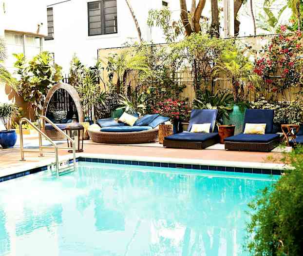 Ulkoallas ympäröitynä aurinkotuoleilla ja kasvillisuudella. (Tekoälyn luoma teksti)