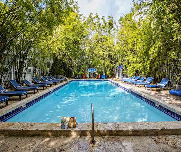 Ulkouima-allas, jota ympäröivät bambukasvit ja siniset aurinkotuolit sen ympärillä. (Tekoälyn luoma teksti)