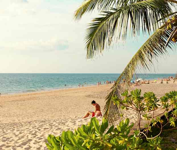 Ranta, jossa on valkoista hiekkaa ja sininen meri, ympärillä vehreitä kasveja ja palmuja. (Tekoälyn luoma teksti)