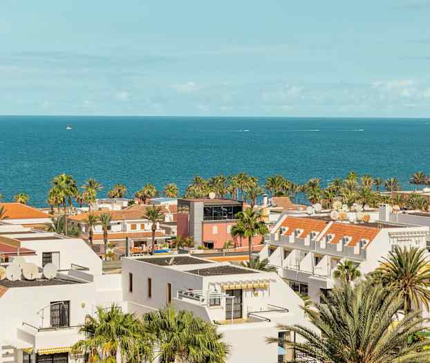 Näkymä rannikkokaupungista, valkoisia rakennuksia, palmuja ja meri taustalla. (Tekoälyn luoma teksti)