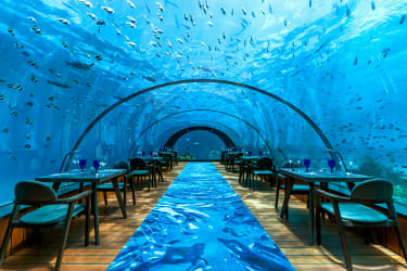 Meren pinnan alla sijaitseva ravintola 5.8 Hurawalhilla, Malediiveilla.