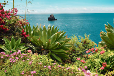 Upeita maisemia ja luontoa Madeiralla