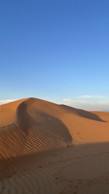 Al Wadi -aavikko