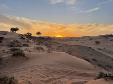 Al Wadi -aavikko