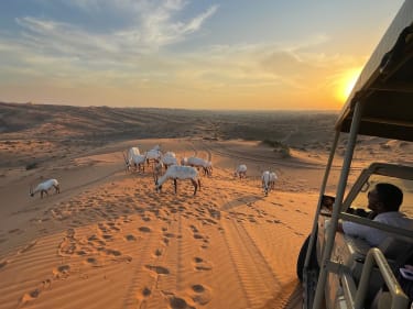 Jeeppisafarill Al Wadi -aavikolla