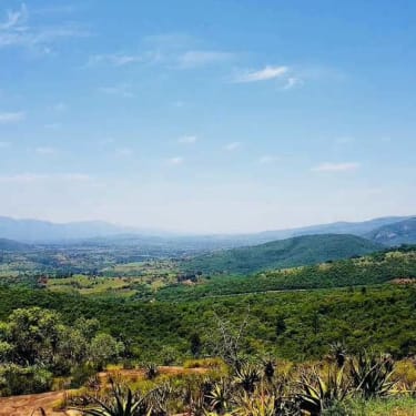Eswatinin vehreää luonnonmaisemaa, taustalla vuoria.som Swaziland.