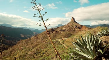 5 uudenlaista tapaa tutustua Gran Canariaan
