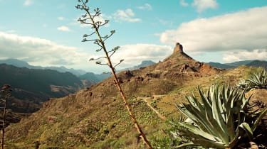Vihreää vuoristomaisemaa Gran Canarialla
