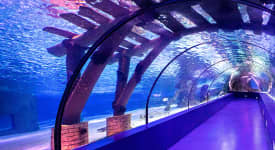 Antalya Aquarium