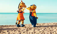 Sunwing Alcudia Beachissä voit osallistua hauskoihin aktiviteetteihin, joissa on mukana myös Lollo & Bernie