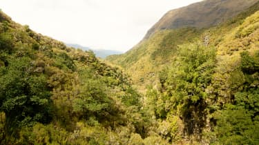 Upea vaellues pitkin yhtä Madeiran kauneimmista levadoista