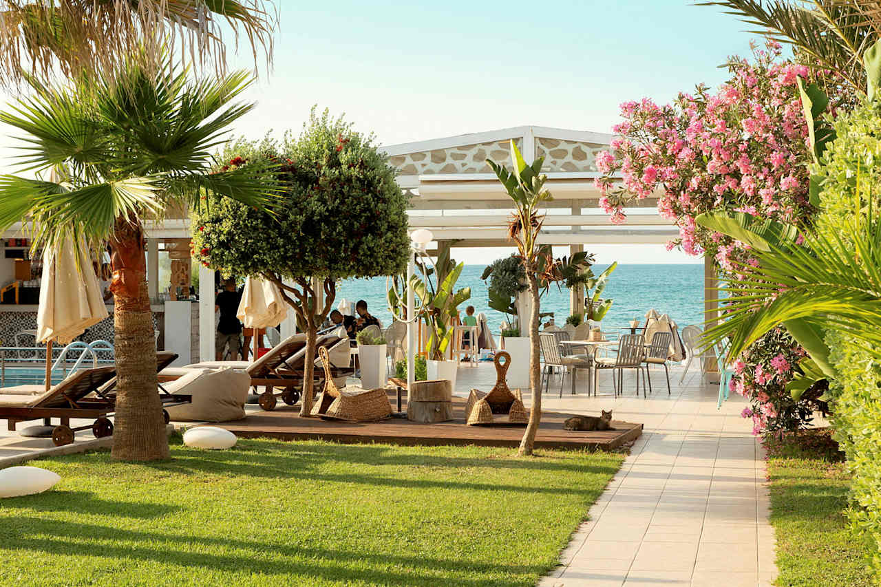 Hotellikuva Tropicana Beach Hotel - numero 1 / 41