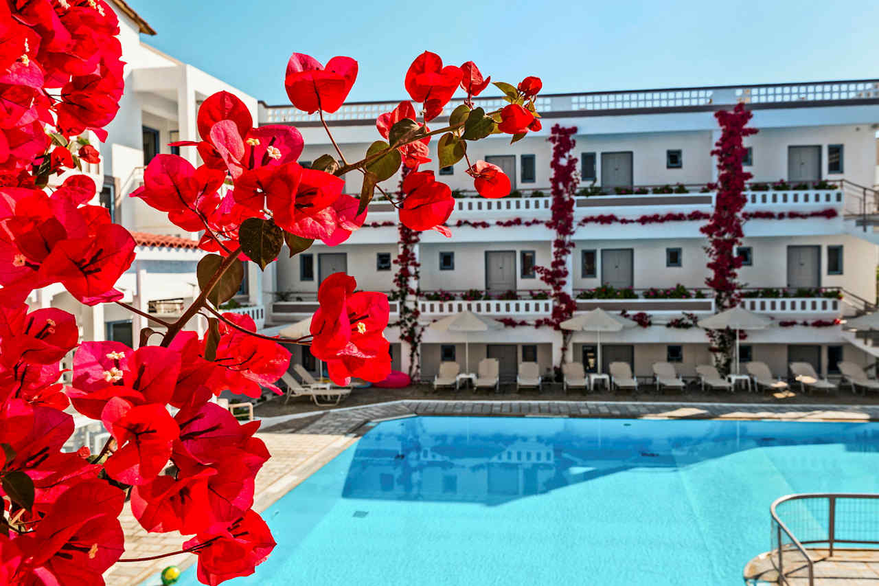 Hotellikuva Ariadne Rethymnon - numero 1 / 22