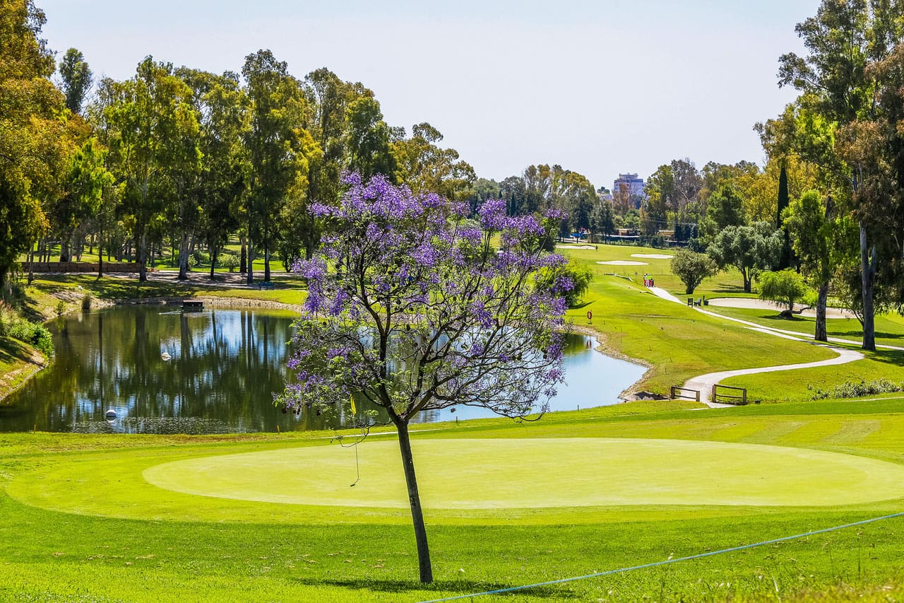 Kaksi 18-reikäistä golfkenttää, jotka molemmat sijaitsevat noin kolmen kilometrin päässä hotellista