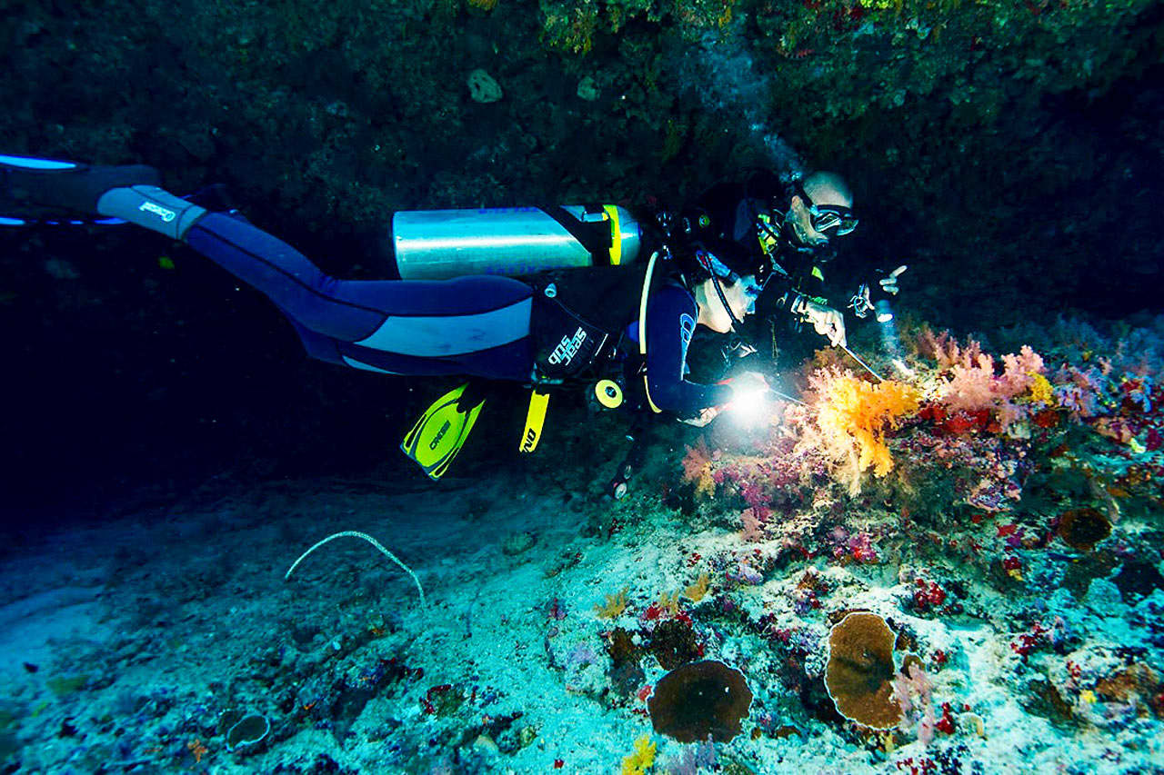 Malediiveilla on upeat sukellusmahdollisuudet