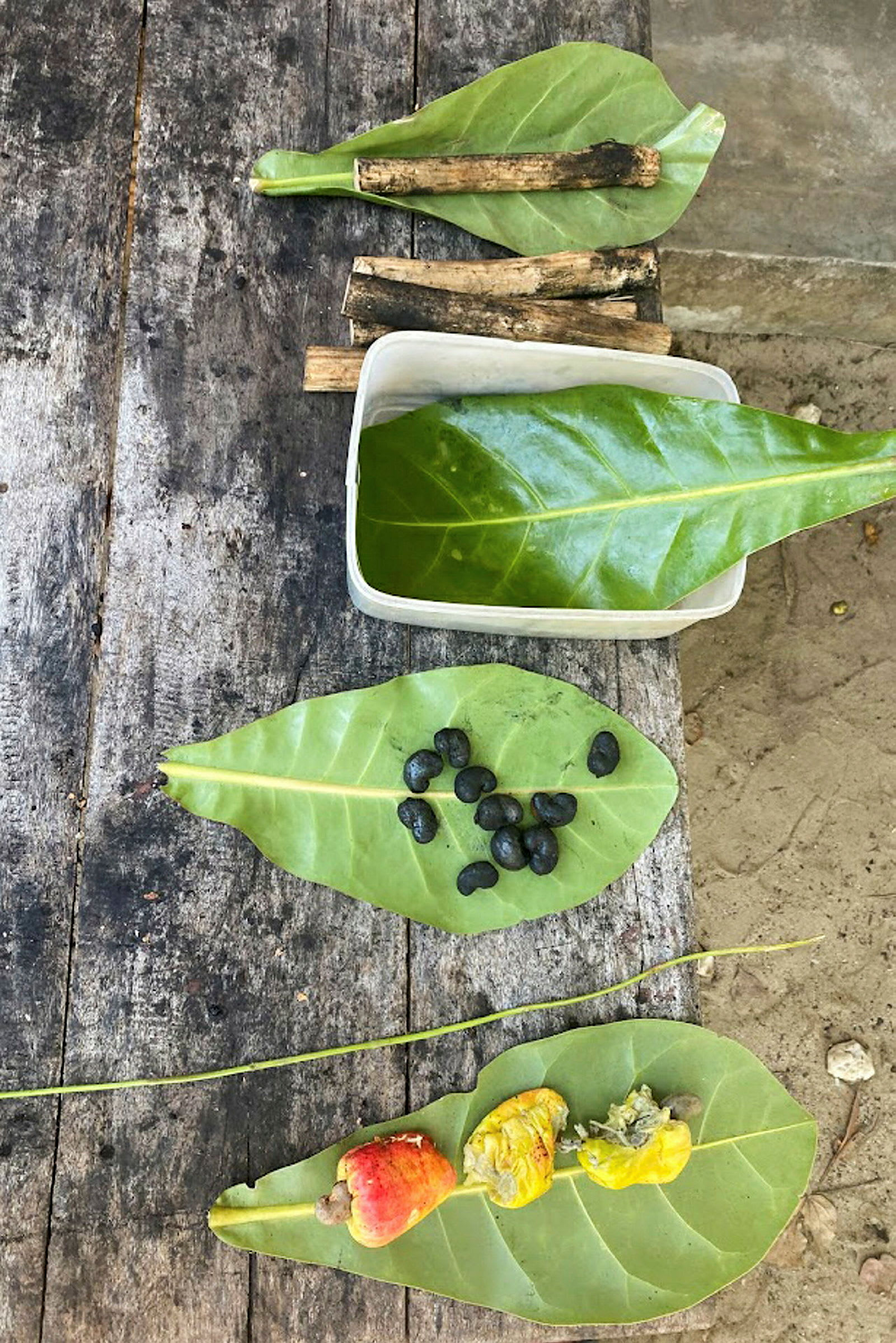 Pöytä, jonka päällä on lehtiä, pieniä oksia, mustia siemeniä ja cashewpähkinöitä. (Tekoälyn luoma teksti)