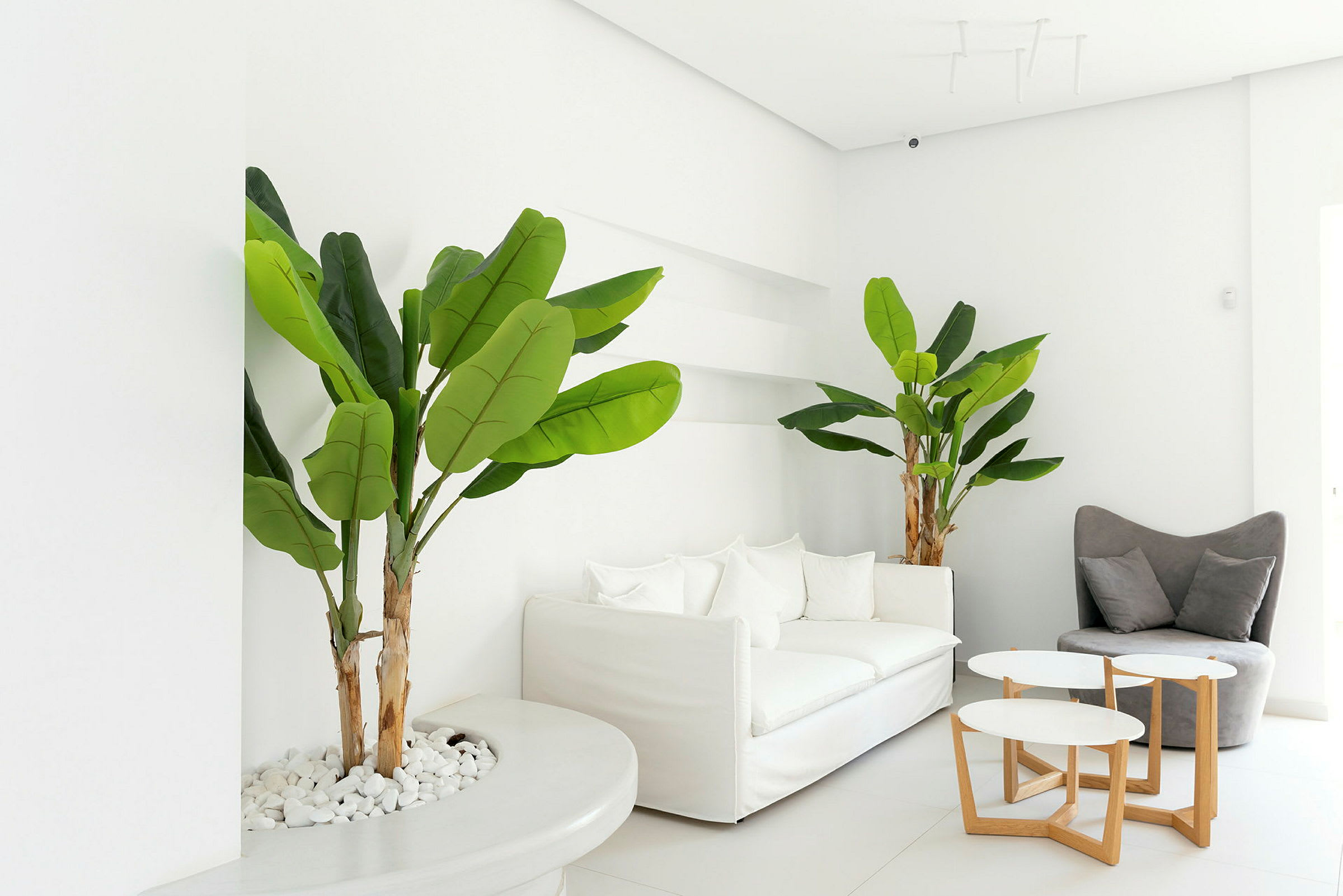 Valoisa olohuone, jossa on valkoisia huonekaluja, vihreitä kasveja ja pieniä pyöreitä pöytiä. (Tekoälyn luoma teksti)