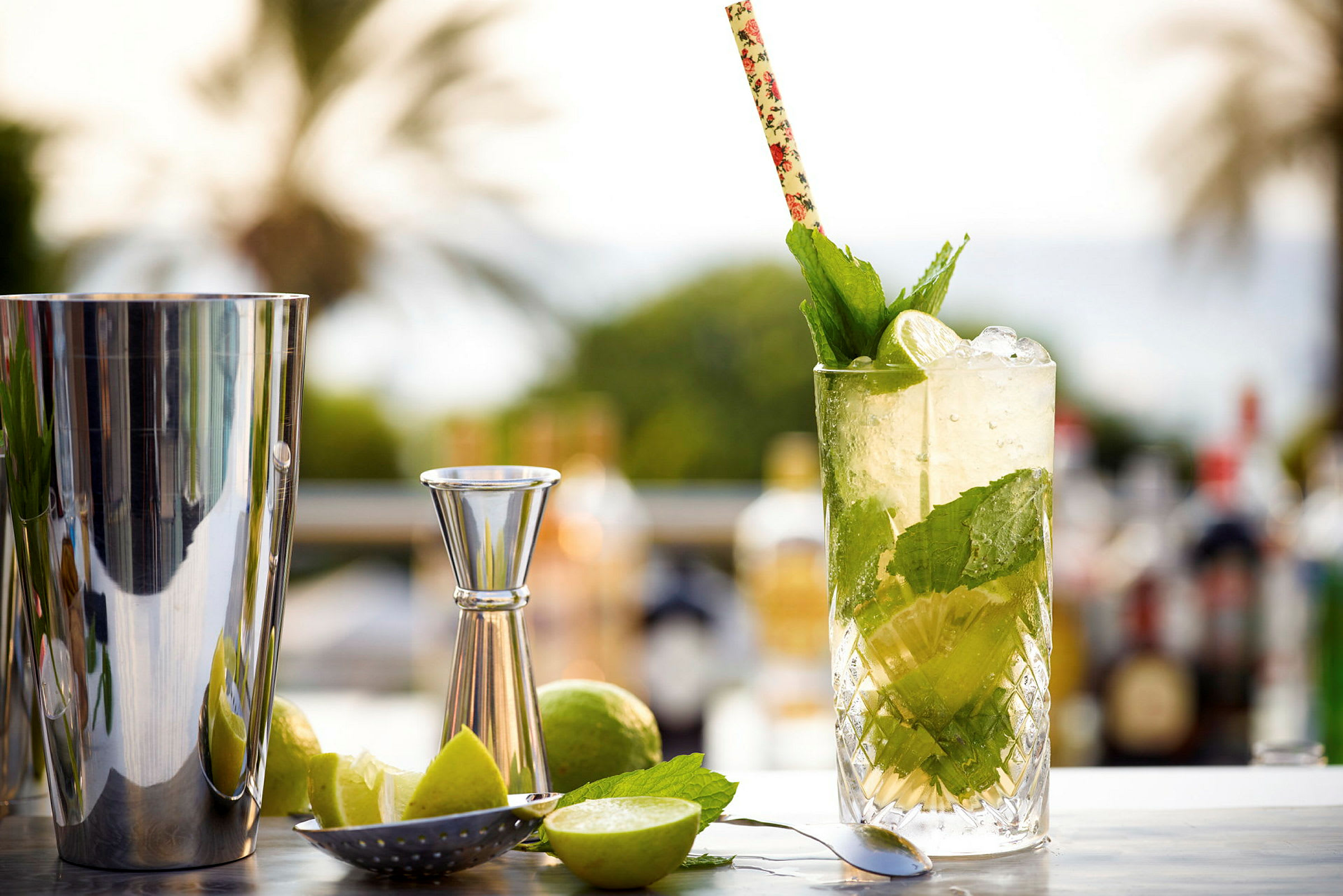 Lasillinen mojitoa, koristeltu pillillä ja mintulla, ympäröivät baarityövälineet. (Tekoälyn luoma teksti)