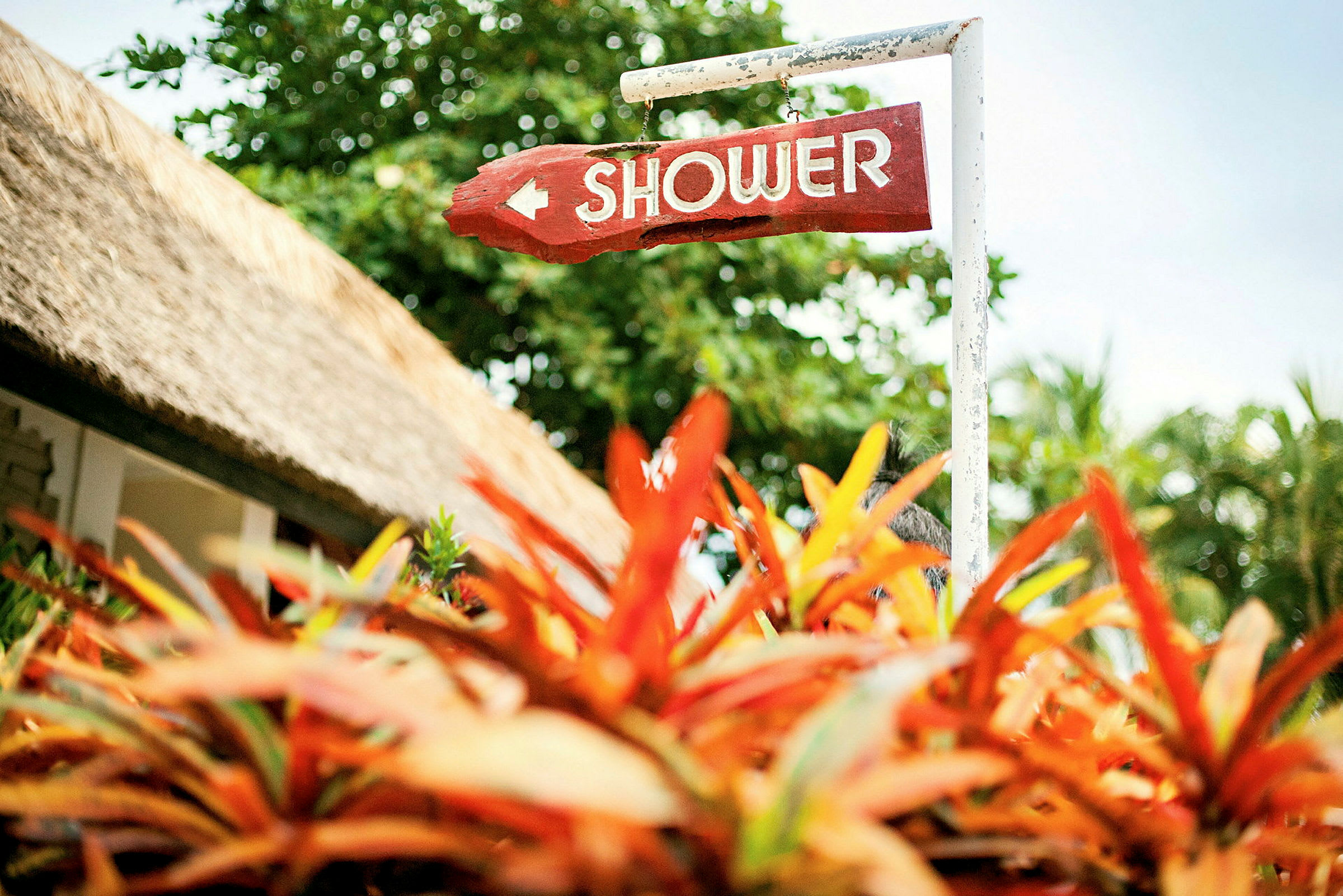 Kyltti, jossa lukee "Shower", osoittaa suuntaan, ympärillään vehreitä kasveja ja taustalla olkikattoa. (Tekoälyn luoma teksti)