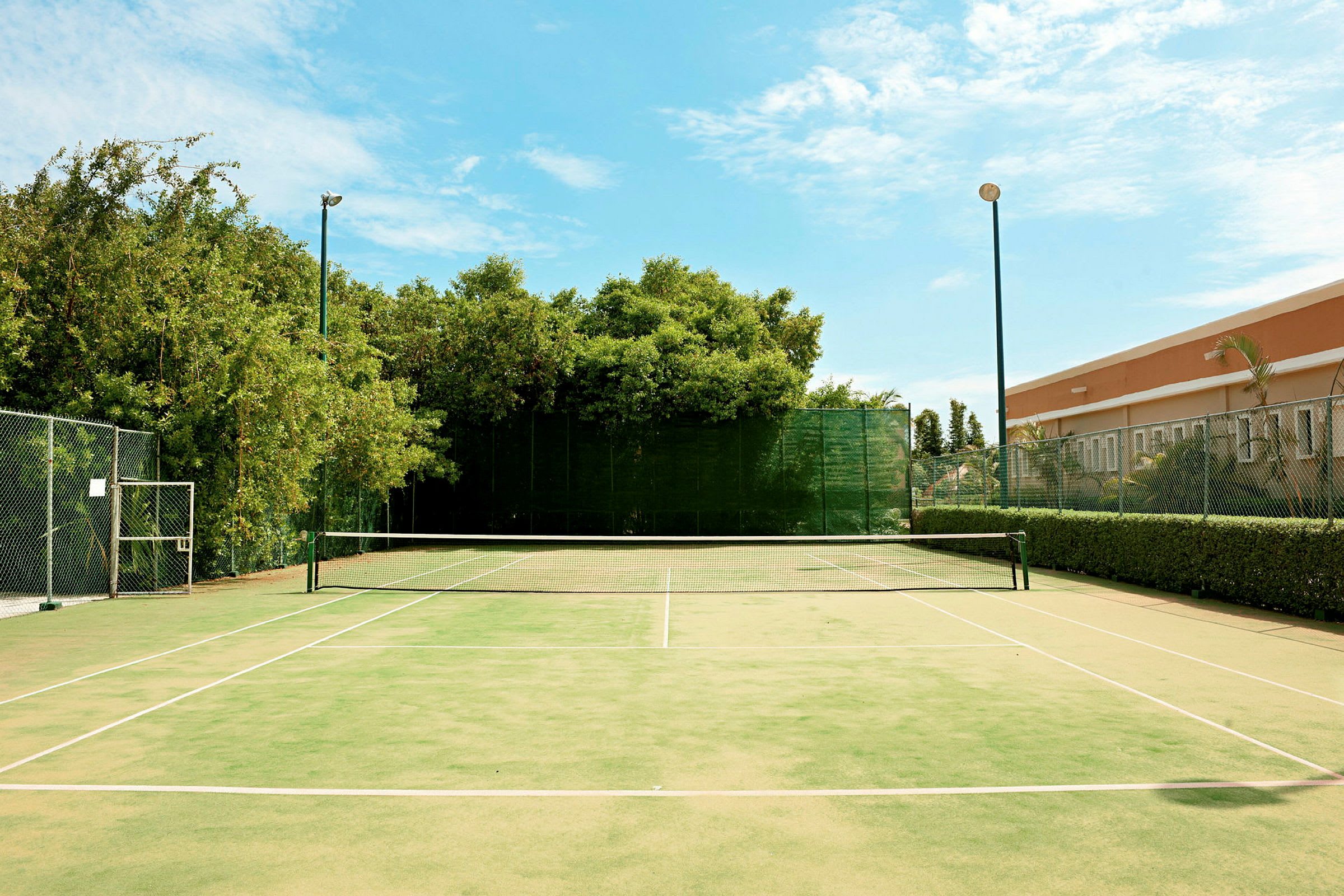 Tennis-kenttä vihreällä pinnalla ja valkoisilla viivoilla, ympäröitynä puilla ja taustalla rakennus. Kenttää ympäröi aita. (Tekoälyn luoma teksti)