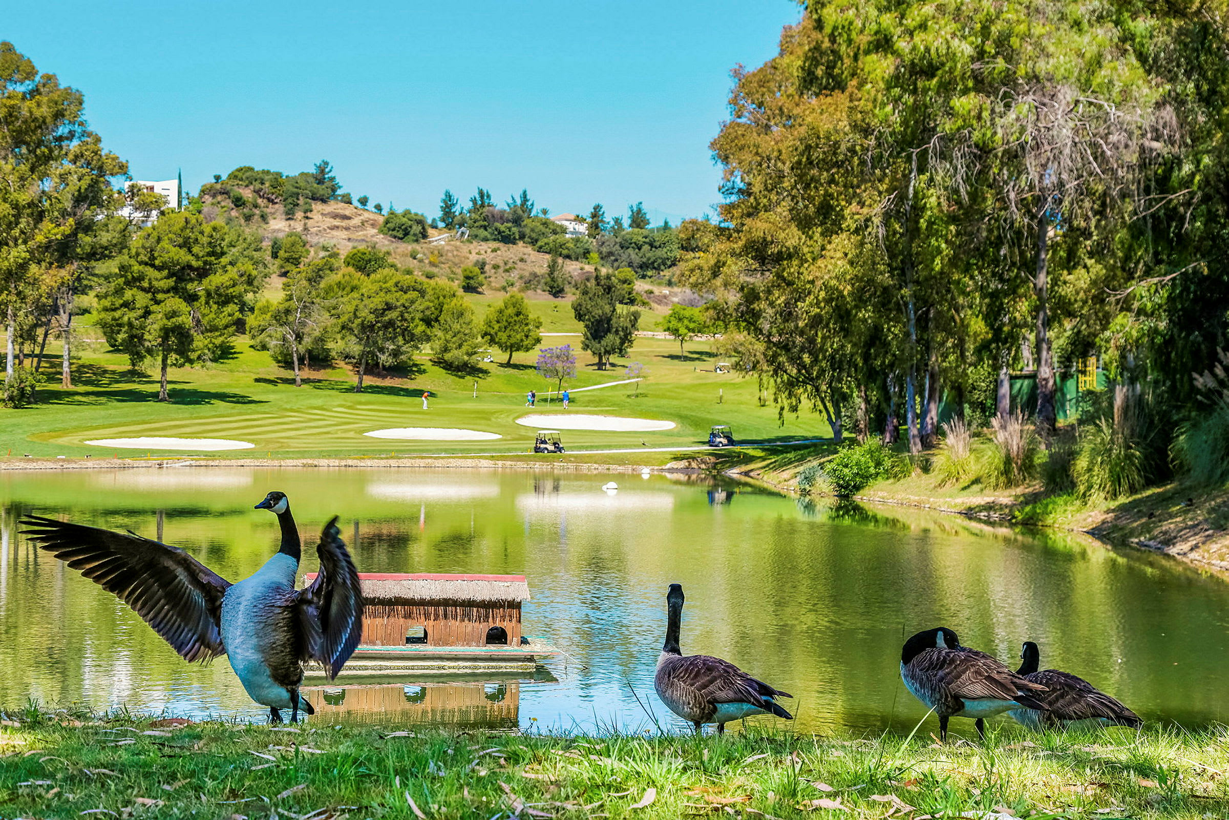 Kaksi 18-reikäistä golfkenttää sijaitsee noin kolmen kilometrin päässä hotellilta