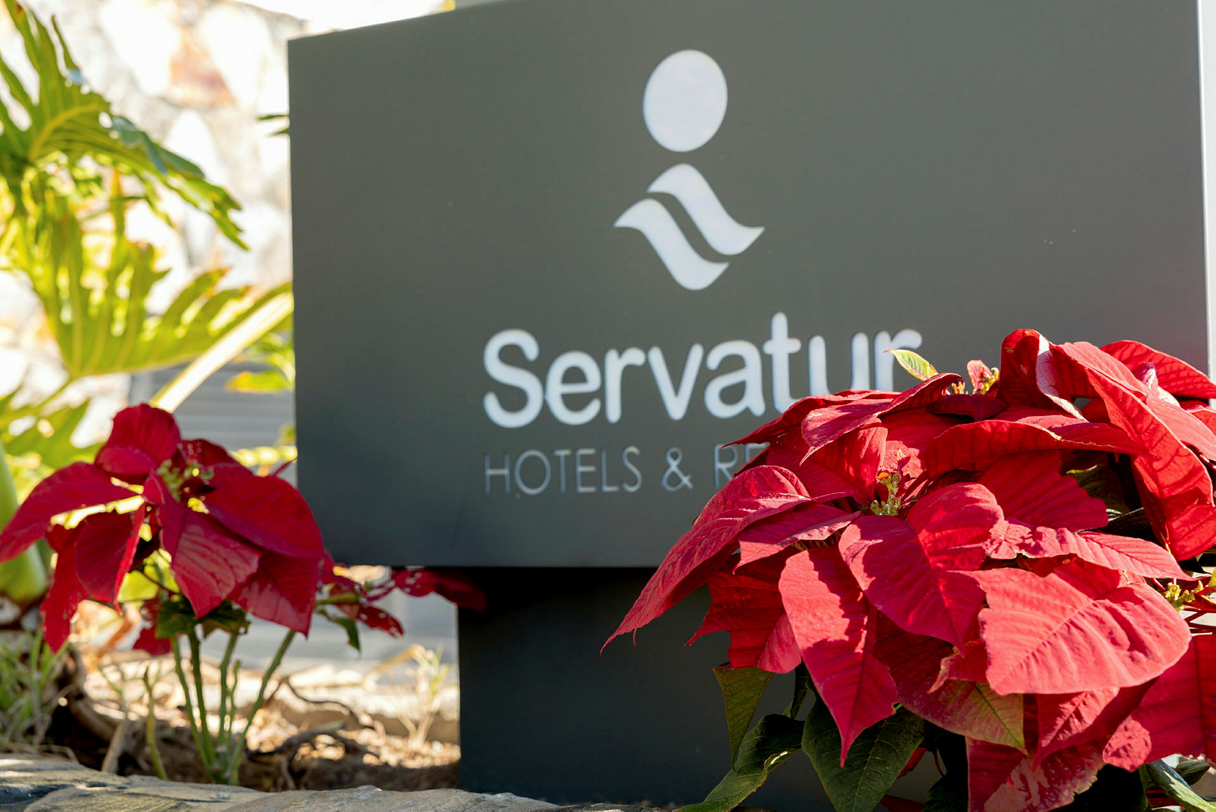 Kyltti jossa lukee 'Servatur Hotels & Resorts' punaiset joulutähdet edessä. (Tekoälyn luoma teksti)