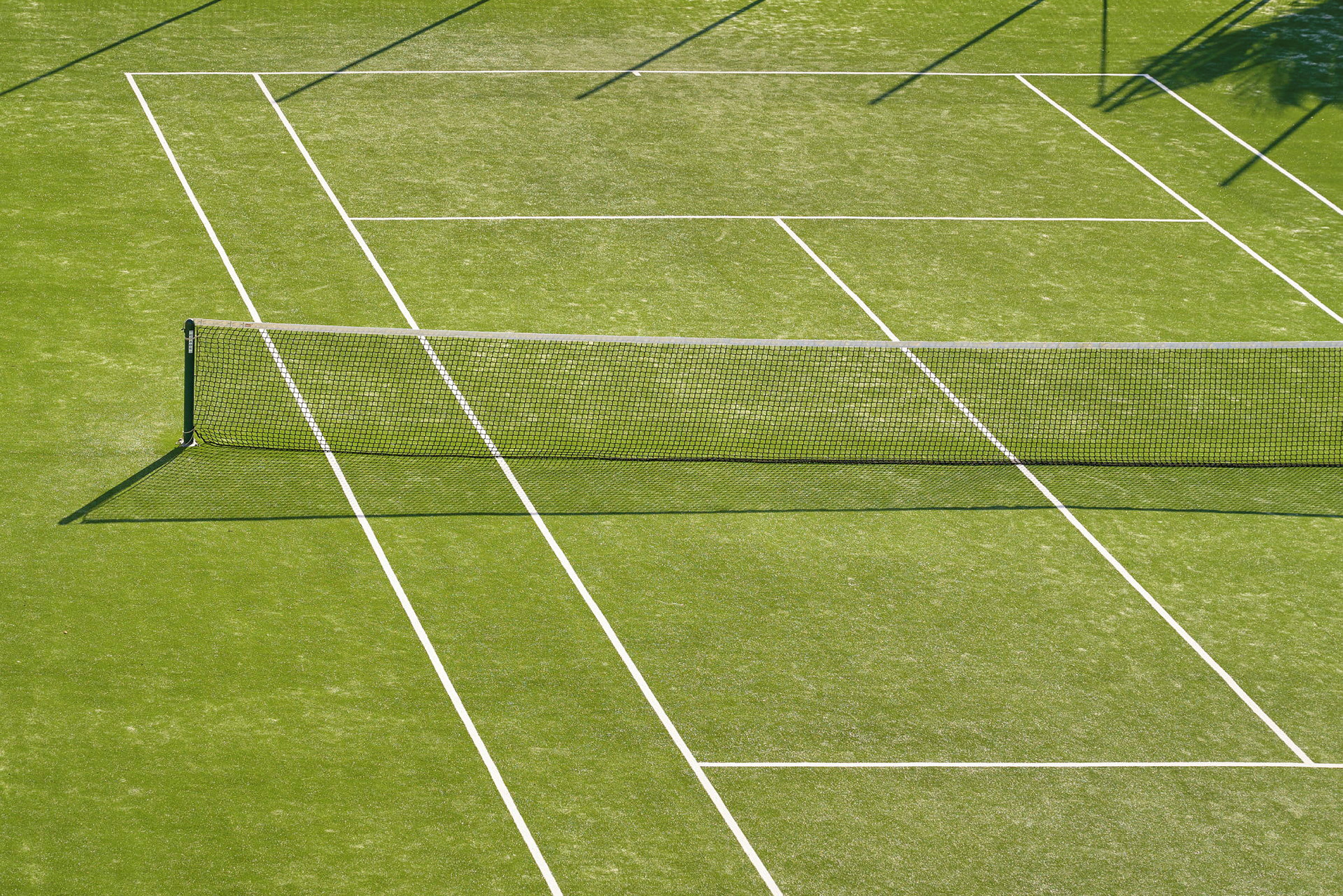 Tenniskenttä, jossa vihreä alusta ja verkko keskellä. (Tekoälyn luoma teksti)