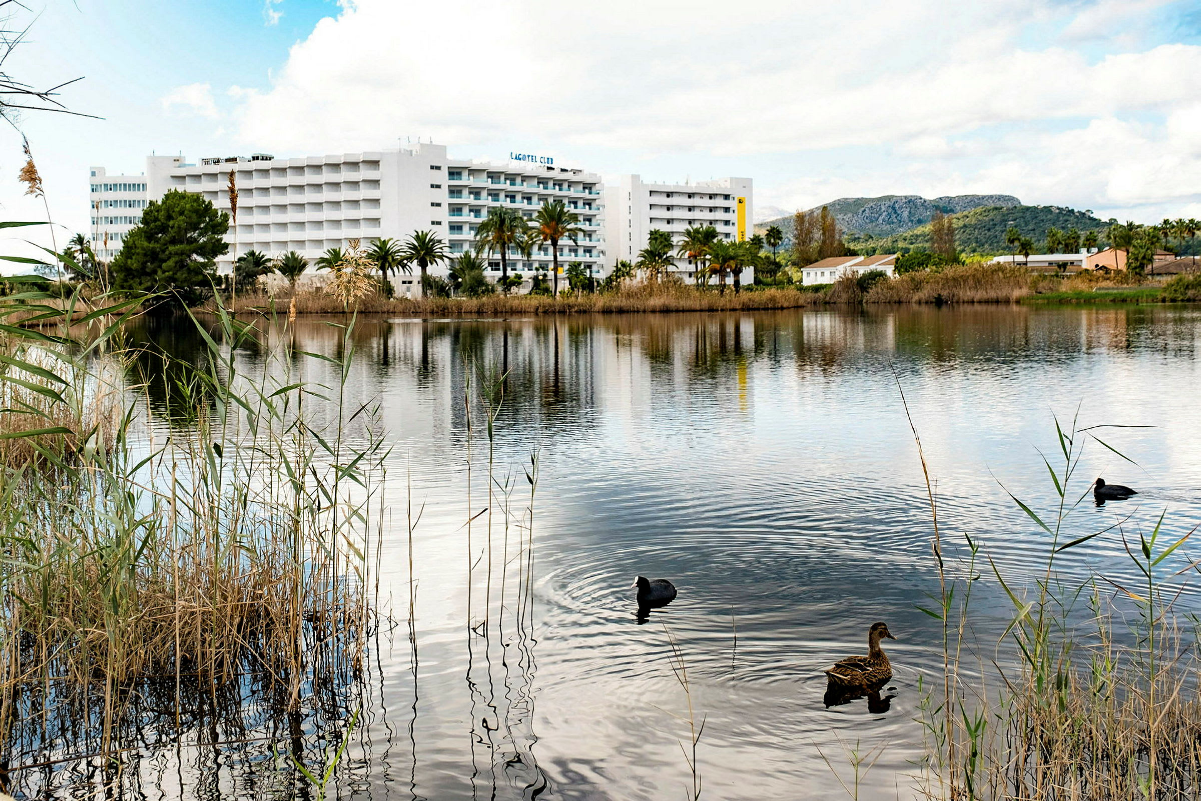 Järvi, jossa lintuja uiskentelee etualalla, ja valkoinen hotellirakennus taustalla. (Tekoälyn luoma teksti)