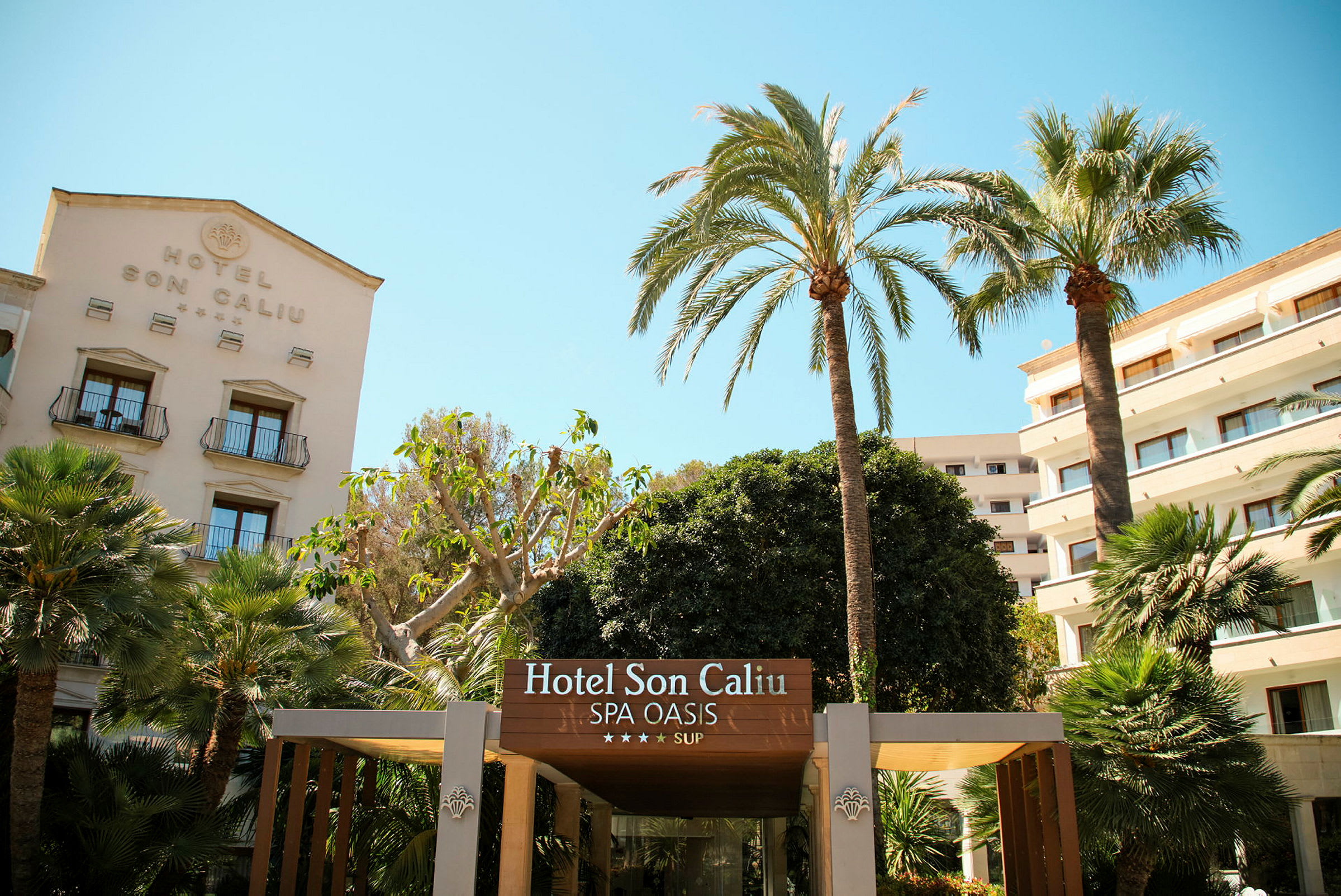 Son Caliu Spa Oasis -hotelli palmuineen ja taustalla olevine rakennuksineen. (Tekoälyn luoma teksti)