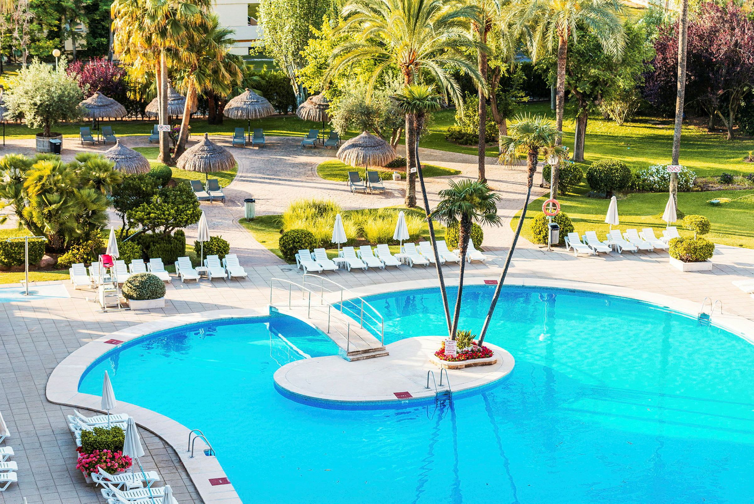 Uima-allas, jota ympäröivät aurinkotuolit ja aurinkovarjot, taustalla palmuja ja vehreää kasvillisuutta. (Tekoälyn luoma teksti)