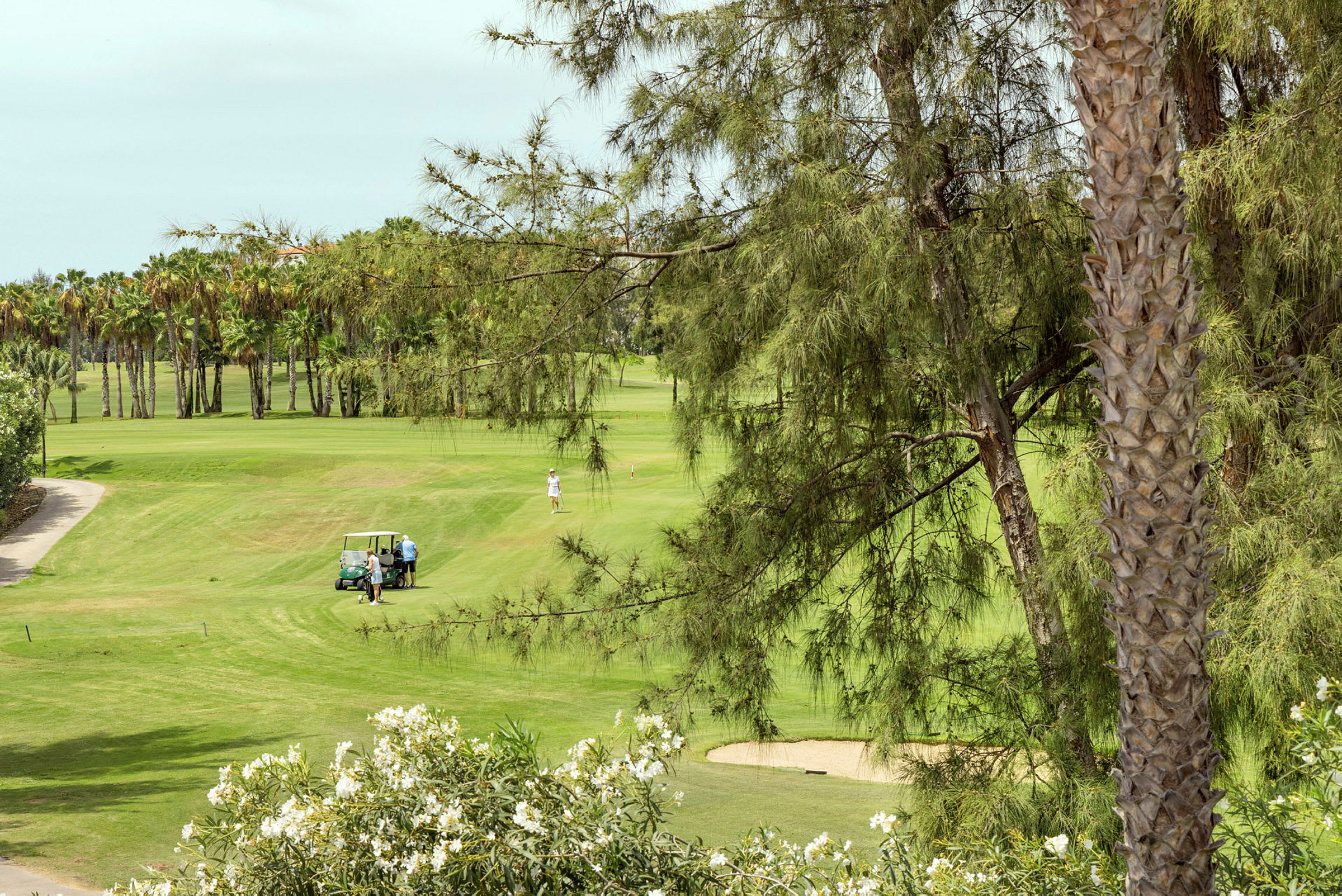 Golfkenttä, jolla on golfauto ja pelaajia, ympärillä vehreyttä ja palmuja. (Tekoälyn luoma teksti)