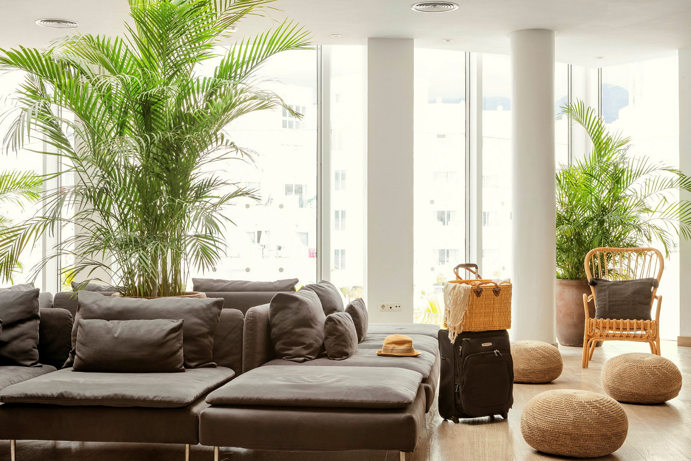 Lounge, jossa harmaa sohva, kasveja ja matkalaukku. (Tekoälyn luoma teksti)