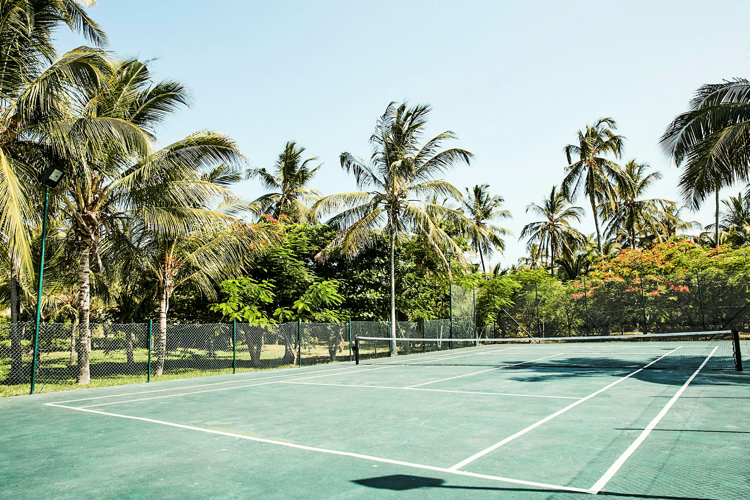 Tenniskenttä palmujen ja puiden ympäröimänä trooppisessa ympäristössä. (Tekoälyn luoma teksti)