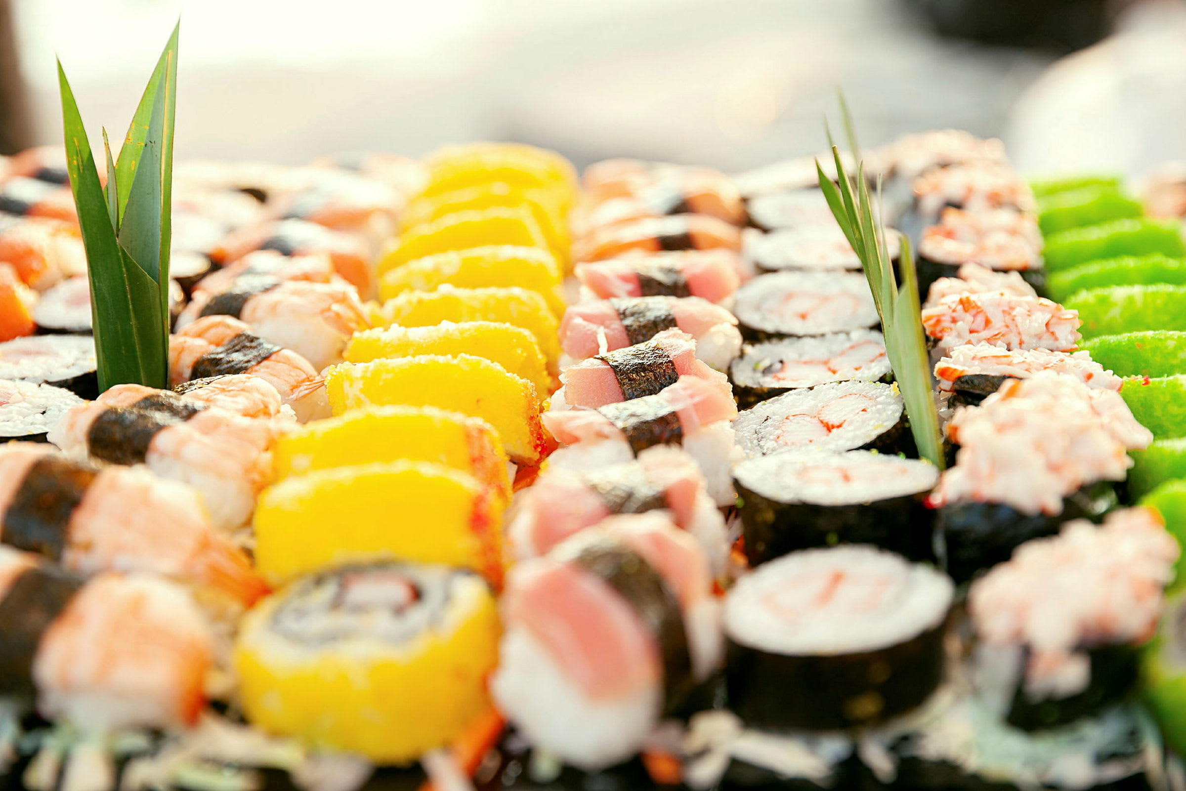 Lähikuva eri lajien sushista, koristeellisia lehtiä mukana. (Tekoälyn luoma teksti)