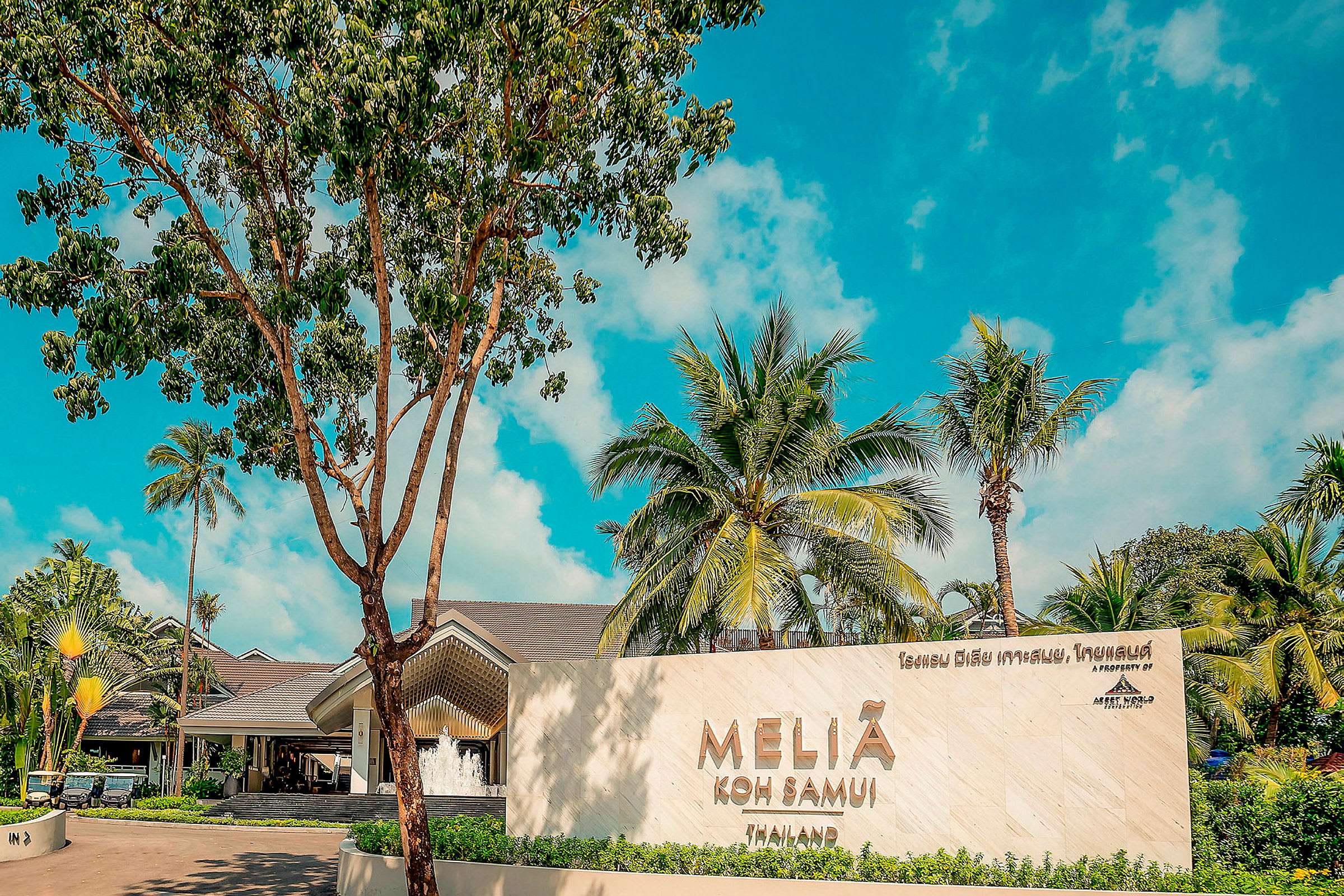 Trooppisen lomakeskuksen sisäänkäynti, jossa on kyltti "Melia Koh Samui", ympärillä palmuja ja vehreyttä sinistä taivasta vasten. (Tekoälyn luoma teksti)