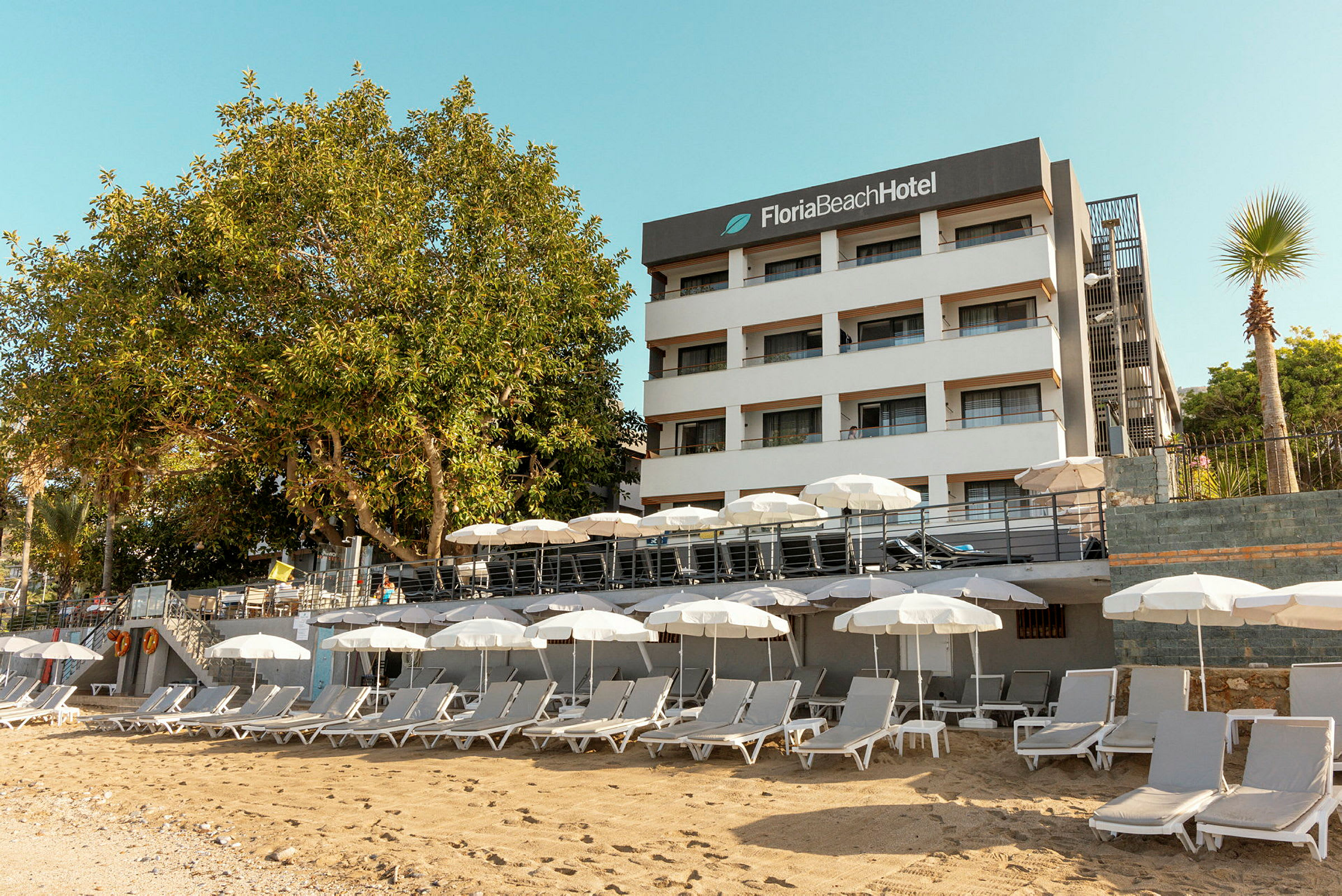 Valkoinen rakennus, jossa lukee 'Floria Beach Hotel', sekä hiekkaranta aurinkotuoleilla ja aurinkovarjoilla. (Tekoälyn luoma teksti)