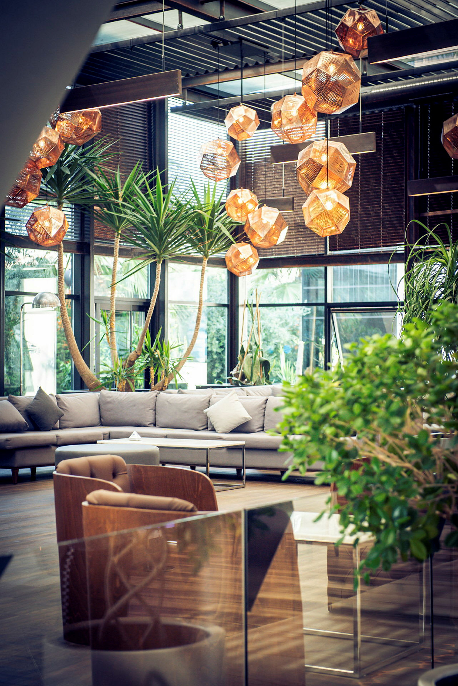 Moderni, ilmava lounge vihreillä kasveilla, beigellä sohvilla ja koristeellisilla ripustettavilla lampuilla. (Tekoälyn luoma teksti)