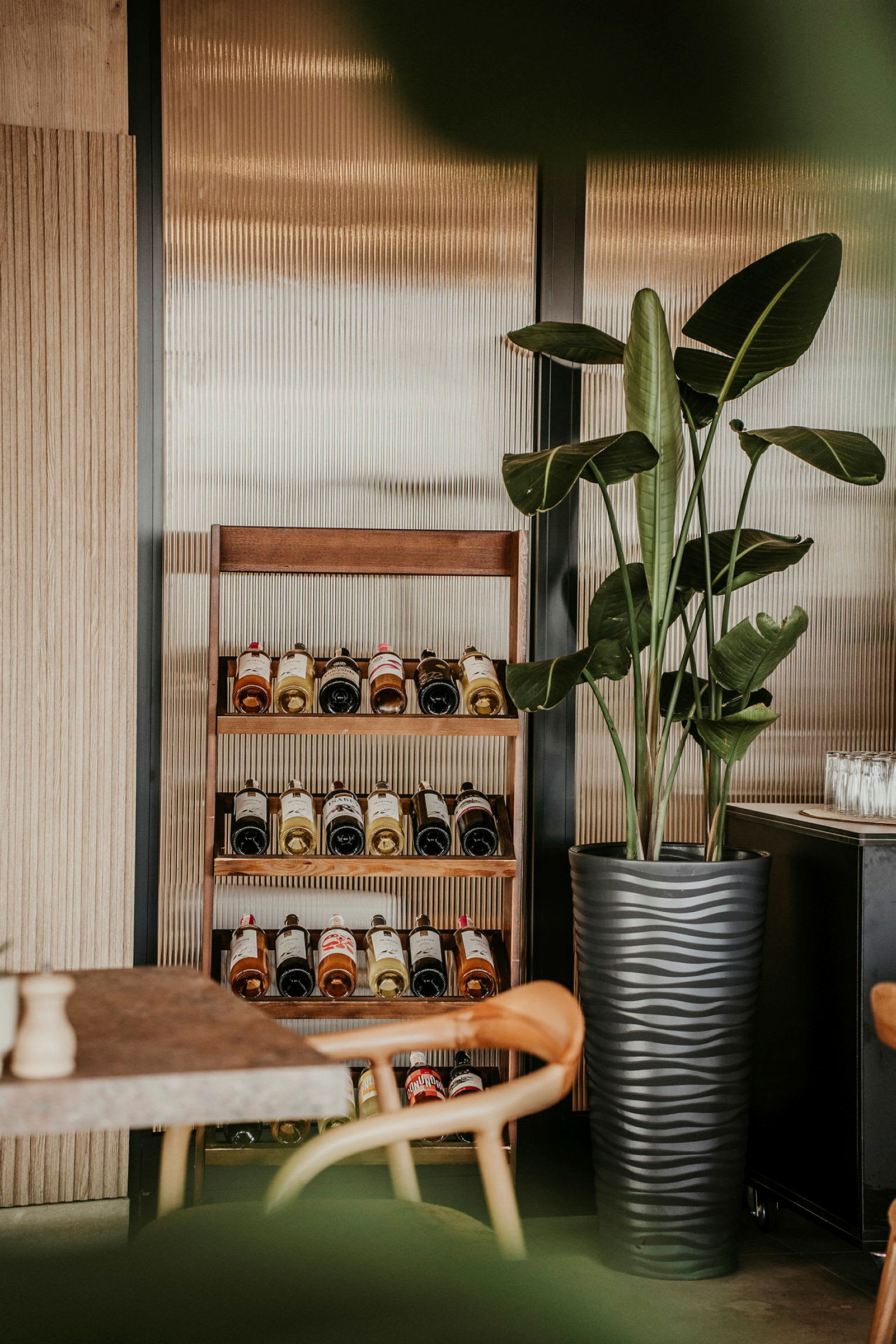 Viinipullohylly suuren mustan ruukun ja vihreän kasvin vieressä. (Tekoälyn luoma teksti)