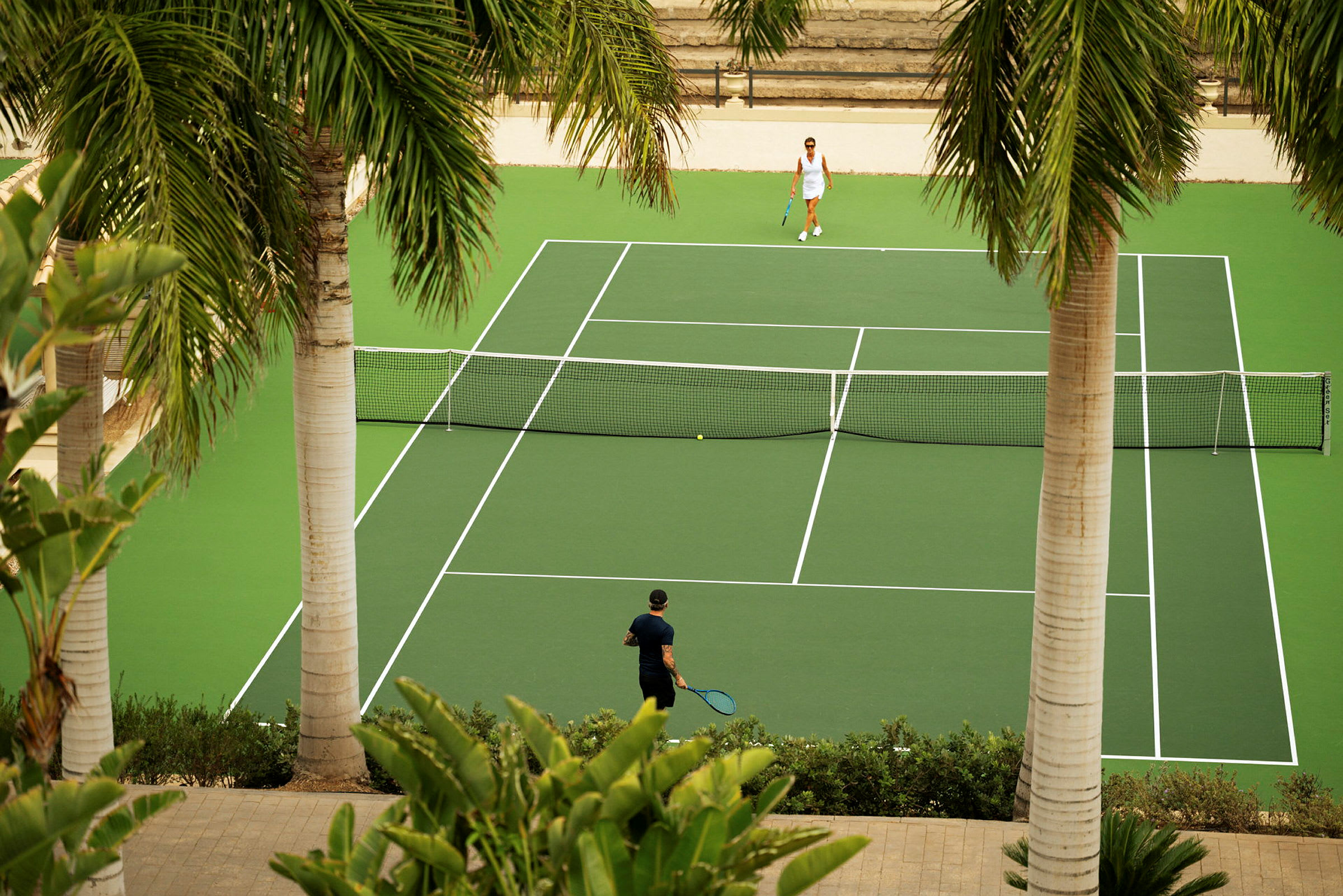 Kaksi ihmistä pelaa tennistä vihreällä tenniskentällä, jota ympäröivät palmut. (Tekoälyn luoma teksti)
