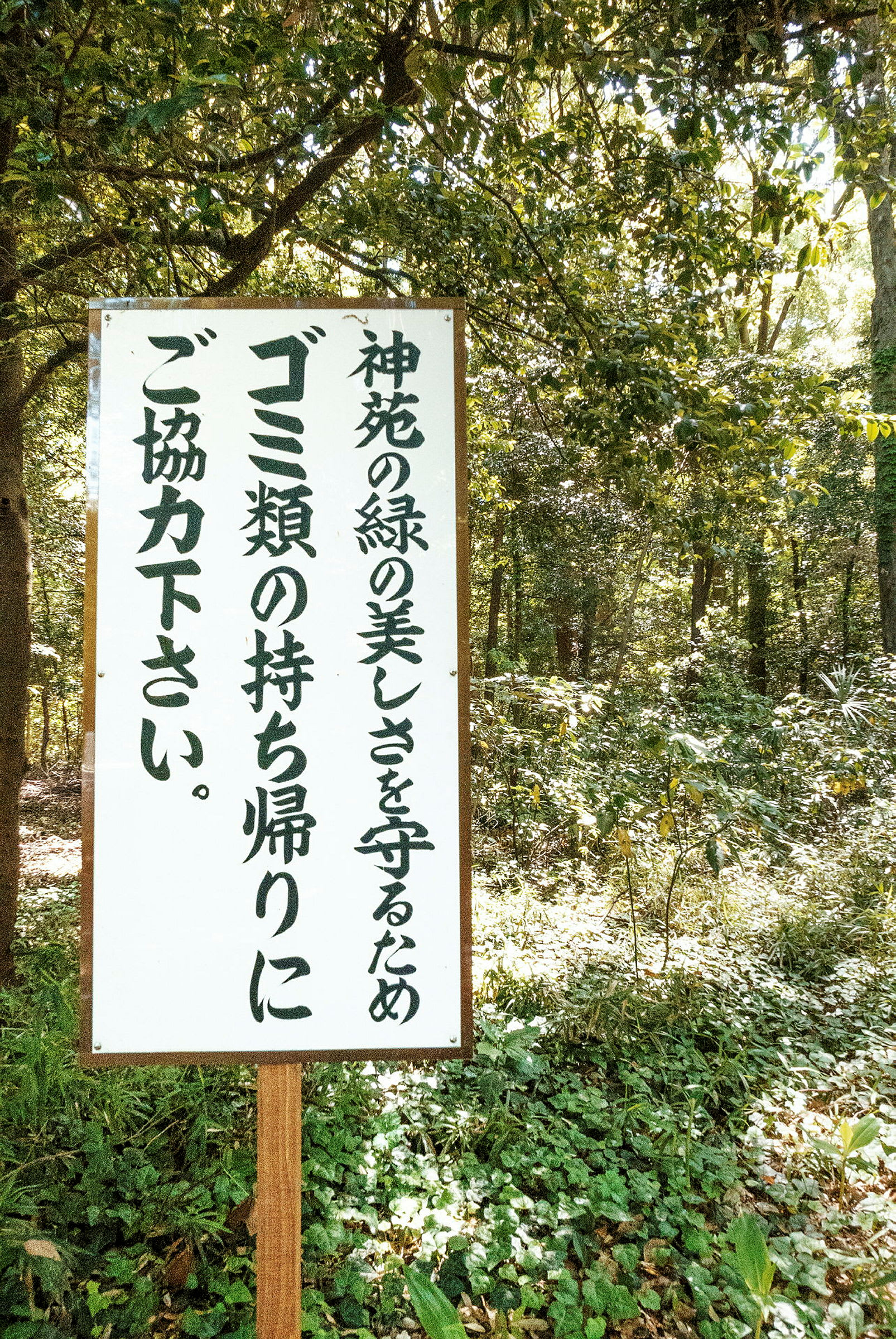 Kyltti, jossa on japaninkielistä tekstiä, sijaitsee vehreässä metsässä. (Tekoälyn luoma teksti)