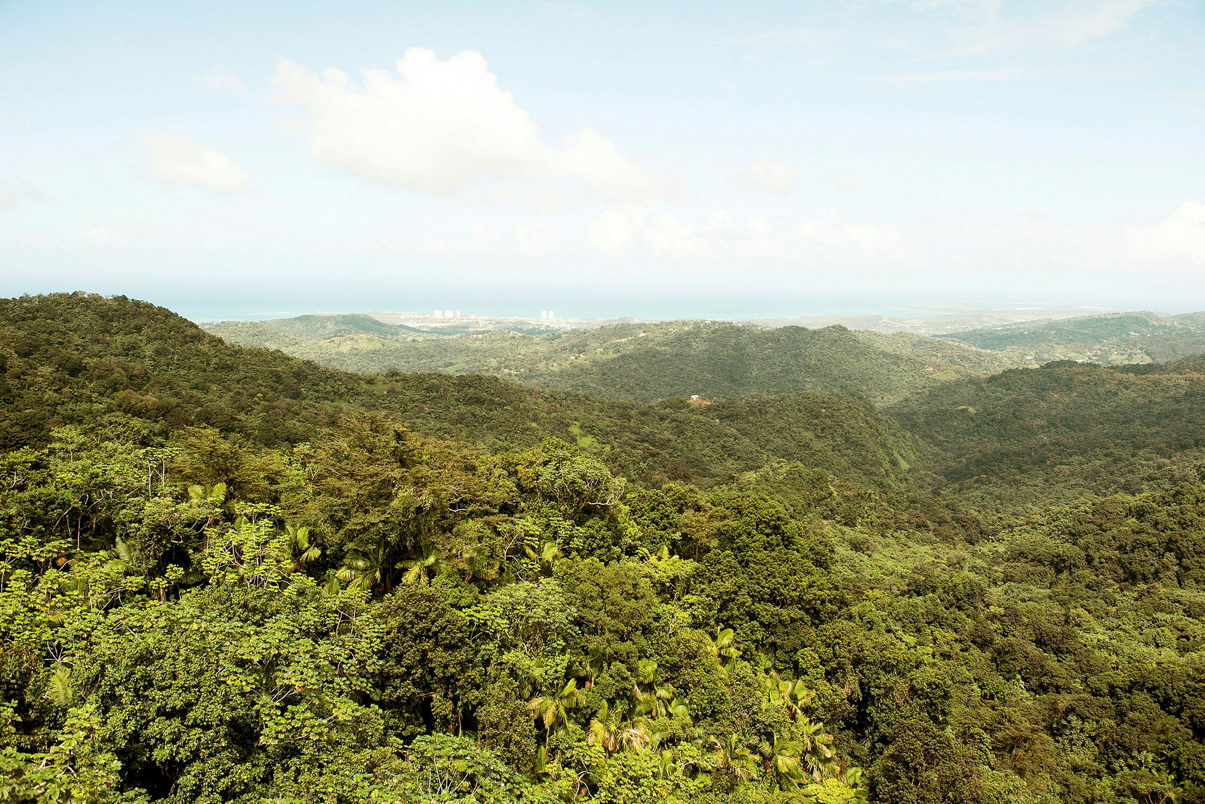 El Yunque National Forest, Puerto Ricon koillispuolella